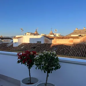  Apartment Atarazanas Suite, Atico Con Terraza Spain